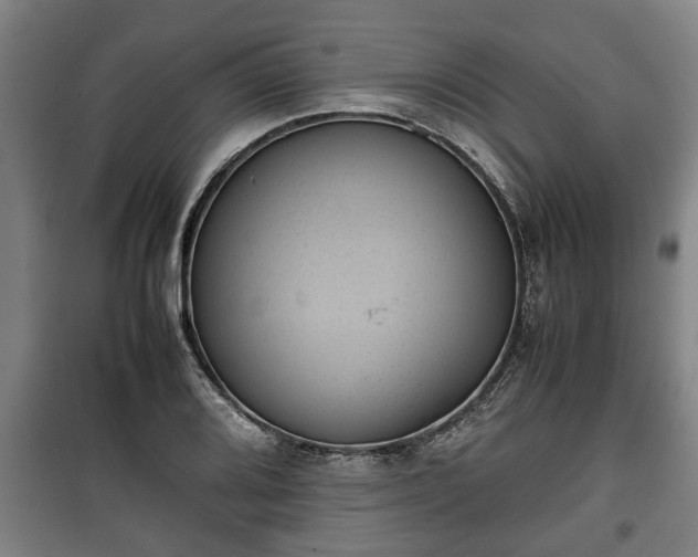 X0000100191080200806061253