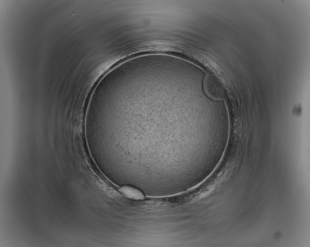 X0000100191081200806061253