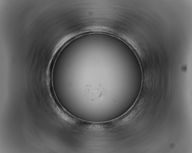 X0000100191082200806061253