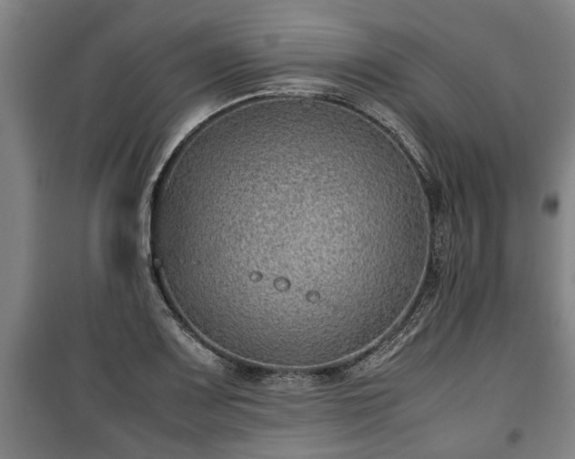 X0000100191083200806061253