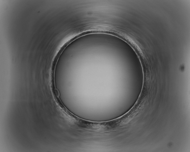 X0000100191085200806061253