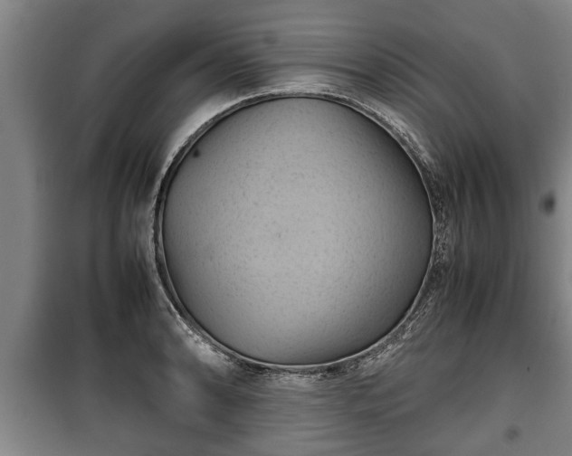 X0000100191086200806061253