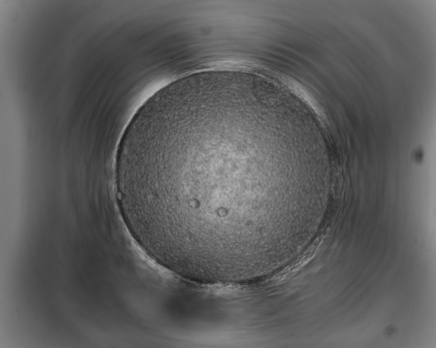 X0000100191087200806061253