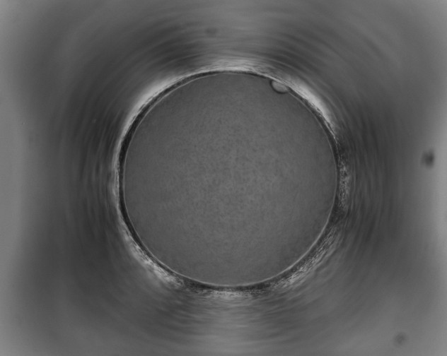 X0000100191088200806061253