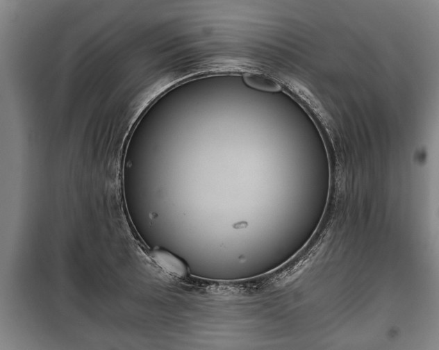 X0000100191089200806061253