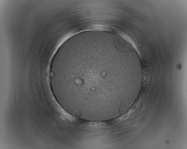 X0000100191091200806061252