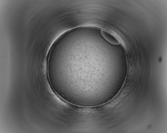 X0000100191092200806061252