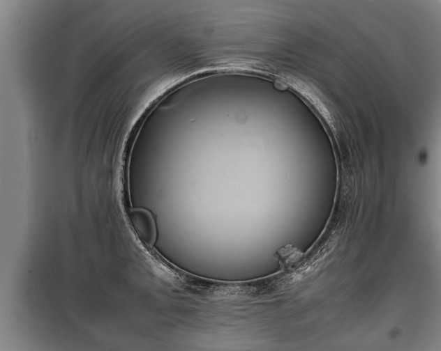 X0000100191093200806061252