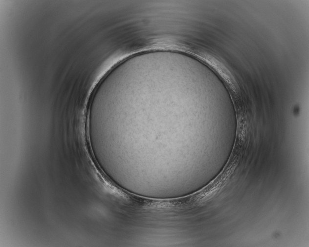 X0000100191094200806061252