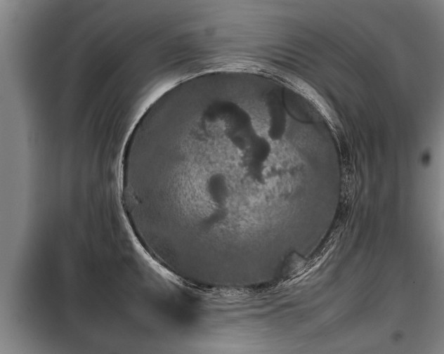 X0000100191095200806061252