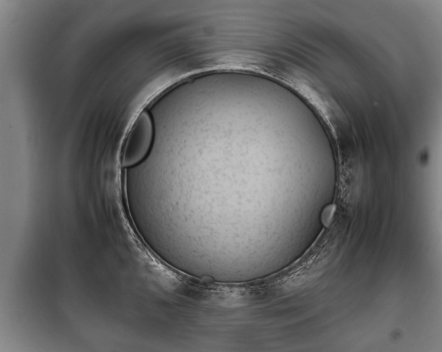 X0000100191096200806061252