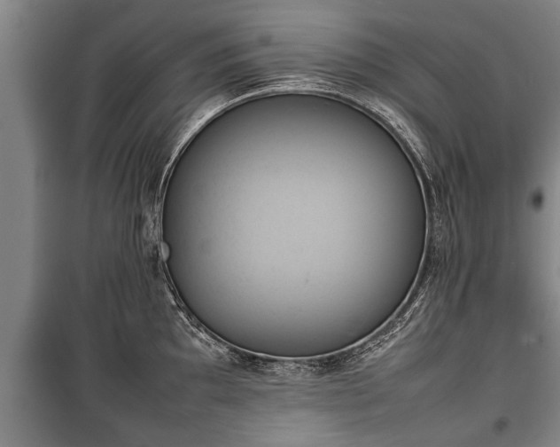 X0000100191097200806061252