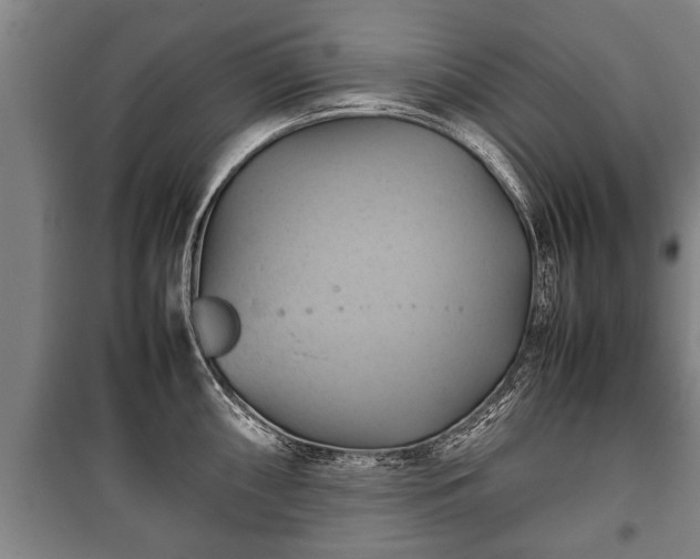 X0000100191098200806061252