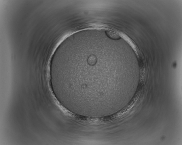 X0000100191099200806061252