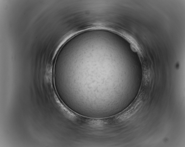 X0000100191100200806061252