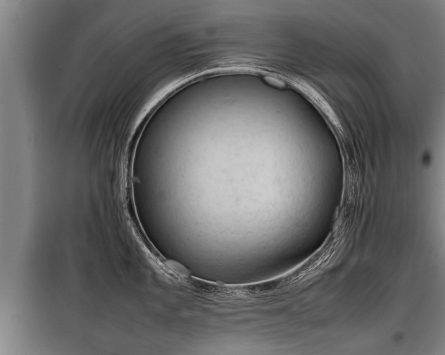 X0000100191101200806061252