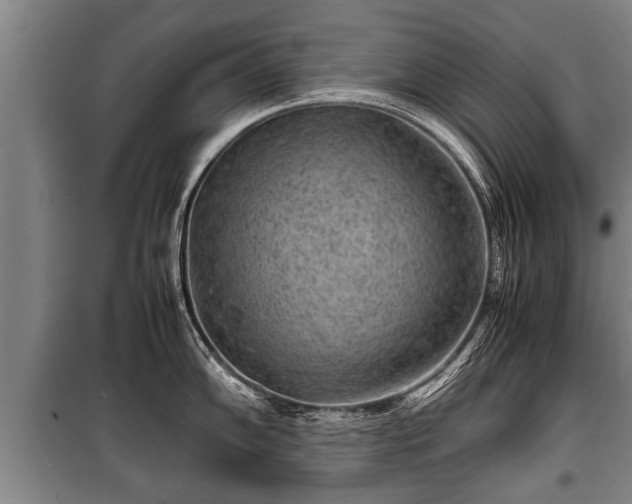 X0000100191102200806061252