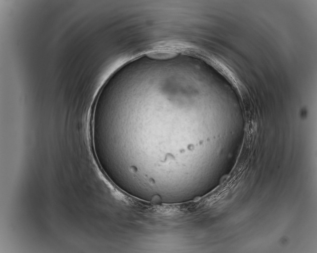 X0000100191103200806061252