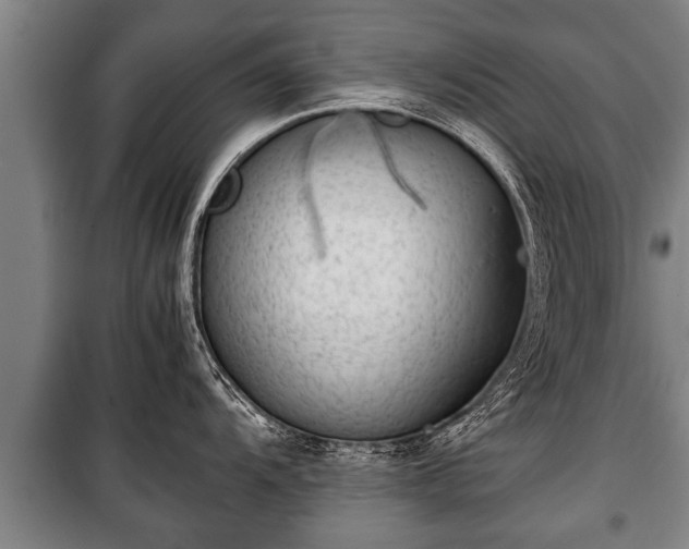 X0000100191104200806061252