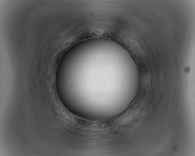 X0000100191105200806061252