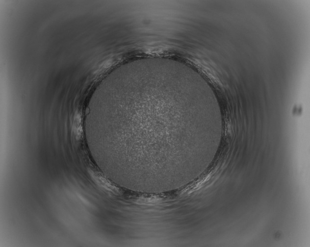 X0000100191106200806061252