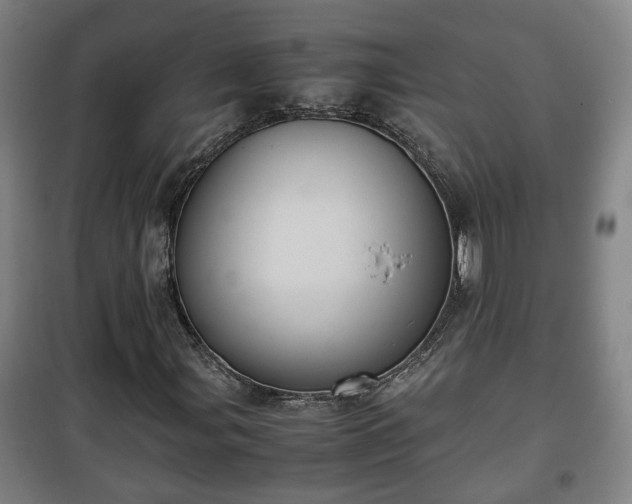 X0000100191107200806061252