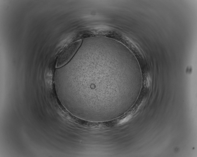 X0000100191108200806061252