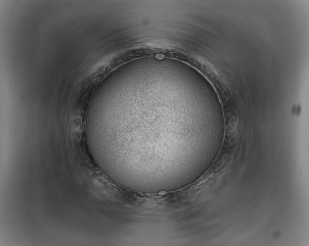 X0000100191110200806061252