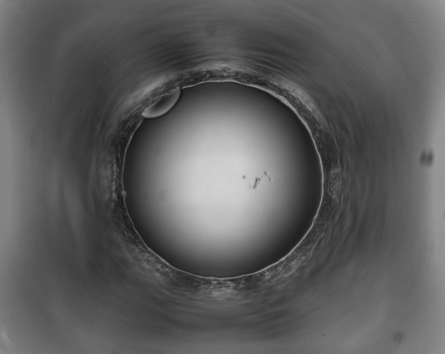 X0000100191111200806061252