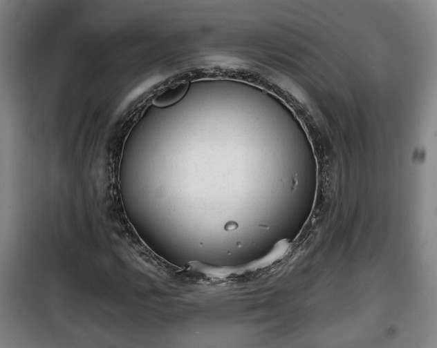 X0000100191112200806061252