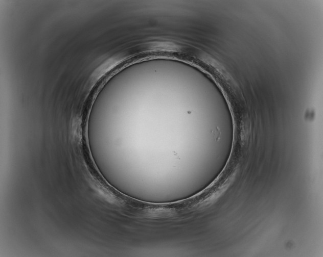 X0000100191113200806061252