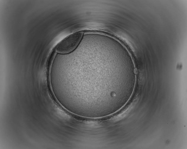 X0000100191114200806061252