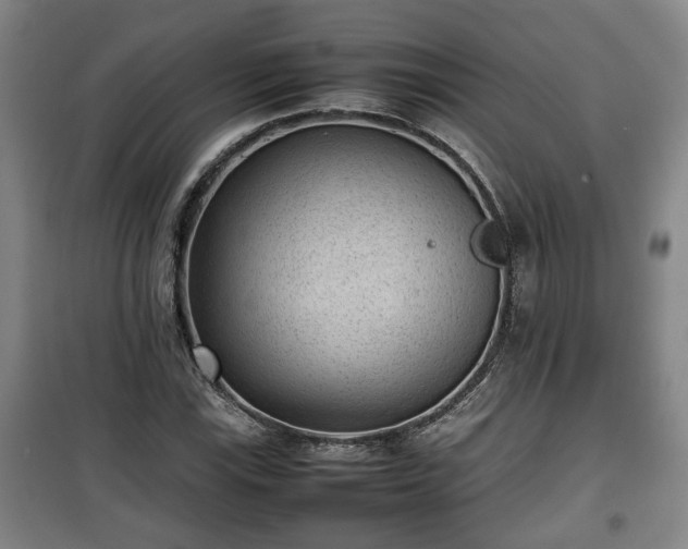 X0000100191115200806061252