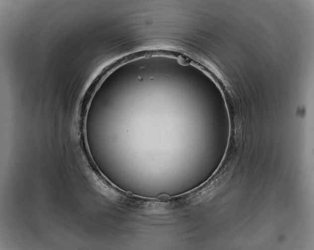 X0000100191116200806061252