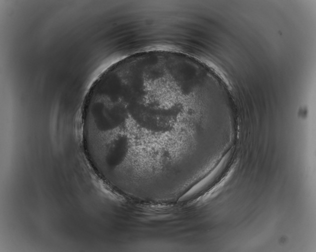 X0000100191117200806061252