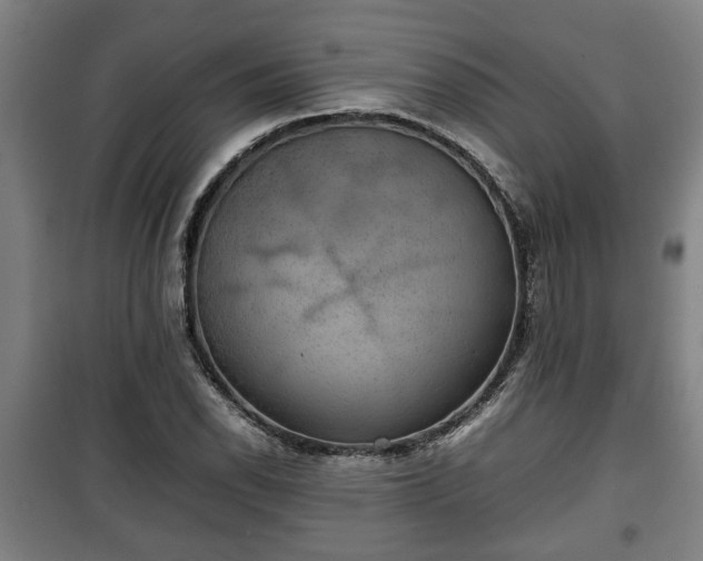 X0000100191118200806061252