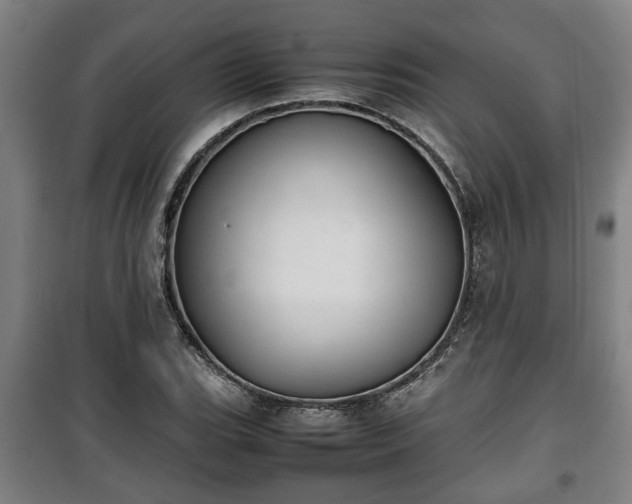 X0000100191119200806061252