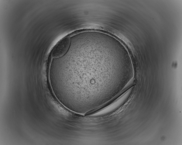 X0000100191120200806061252