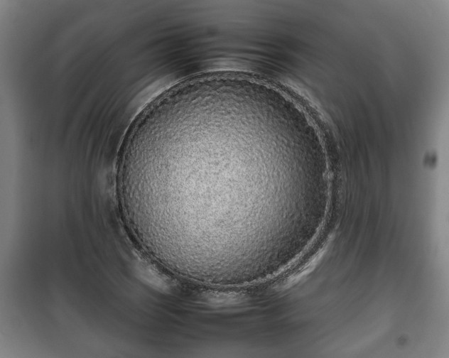 X0000100191121200806061252