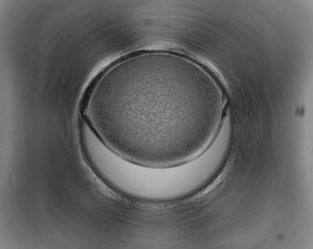 X0000100191122200806061252