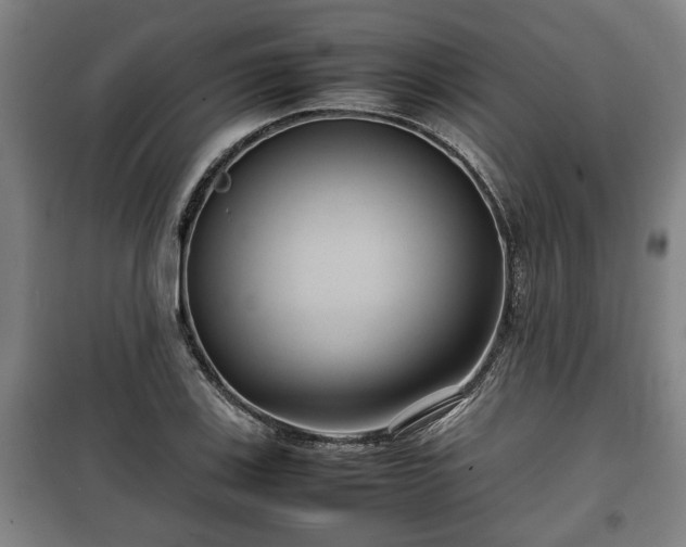 X0000100191123200806061252