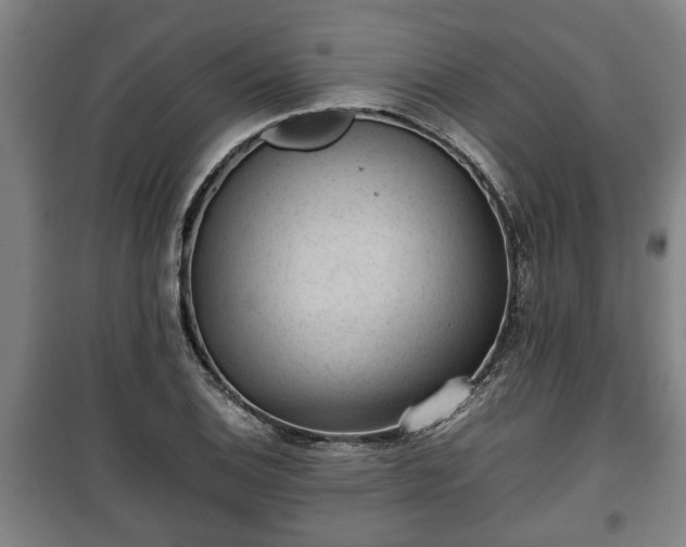 X0000100191124200806061252