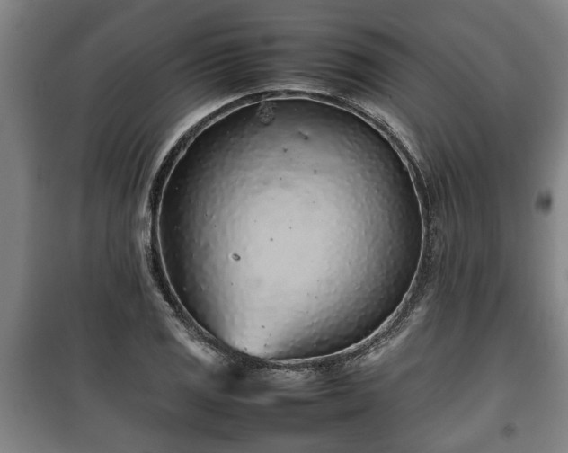 X0000100191125200806061252