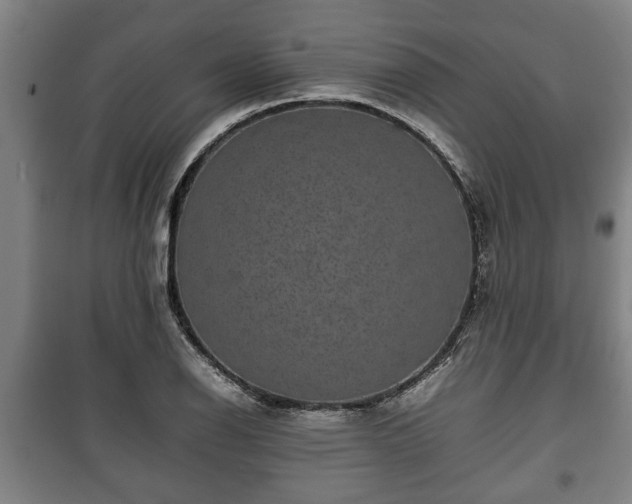 X0000100191126200806061252