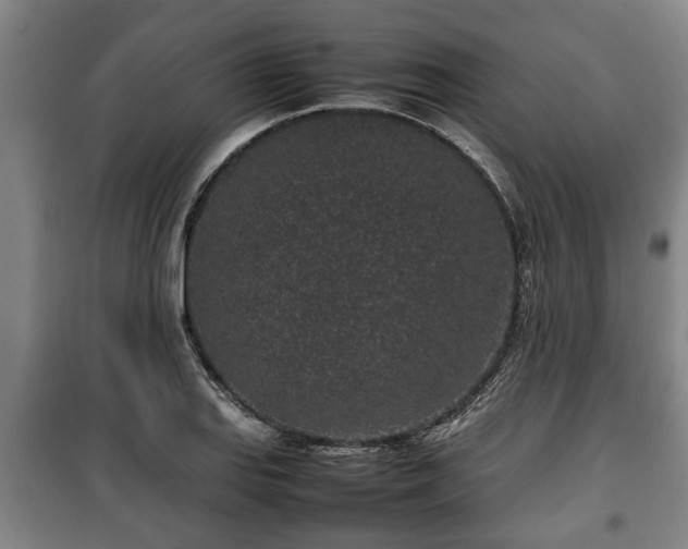 X0000100191127200806061252