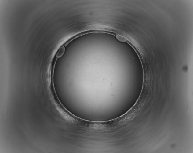 X0000100191128200806061252