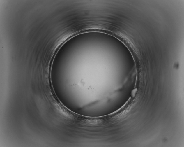 X0000100191129200806061252