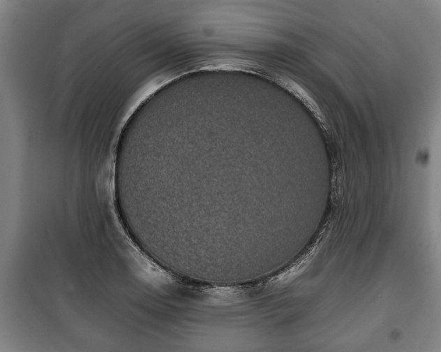 X0000100191130200806061252