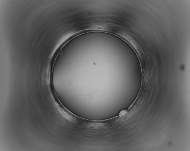 X0000100191131200806061252