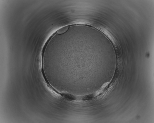 X0000100191132200806061252